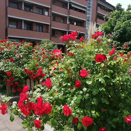 Apartman Parri 33 Fiera 4+1 Guest Parking On Demand *